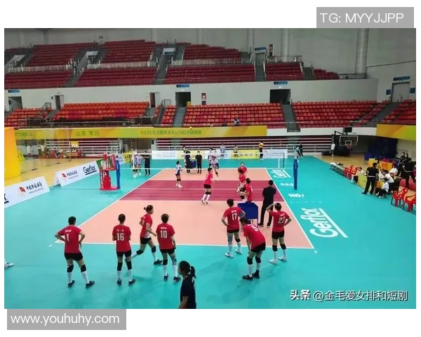 南京排球队实力强劲荣登全国排球力量排行榜第四名 南京排球队实力强劲荣登全国排球力量排行榜第四名