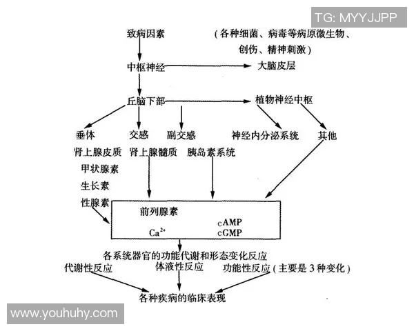 武汉攀岩队的战术控制体系探讨与实践分析