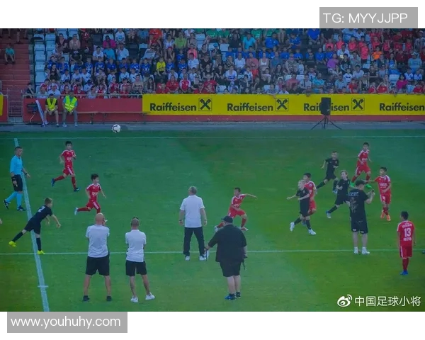 巴西与奥地利精彩对决录像回放全程回顾与精彩瞬间分析