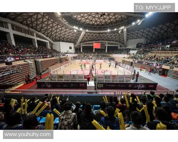 国家体育会对决各大体育联盟的精彩赛事回顾与分析