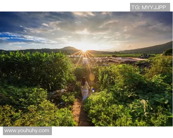 景菡一：在繁华与宁静之间寻找自我与梦想的旅程